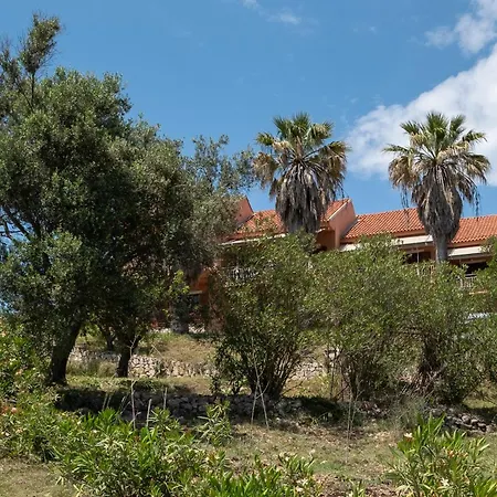 Kokkini Peach Budget *