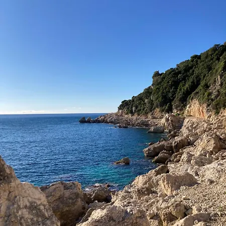 Kokkini Peach Budget *