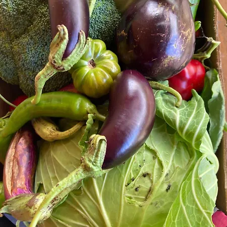 شقة Kokkini Peach Budget *