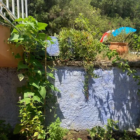 Kokkini Peach Budget Kokkínion