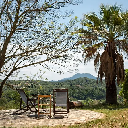 Apartman Kokkini Peach Budget *