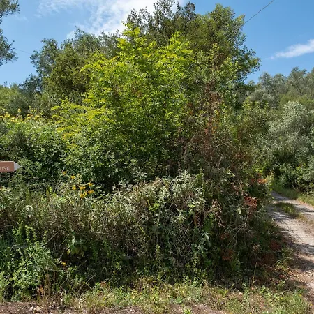 Kokkini Peach Budget Apartman Kokkínion