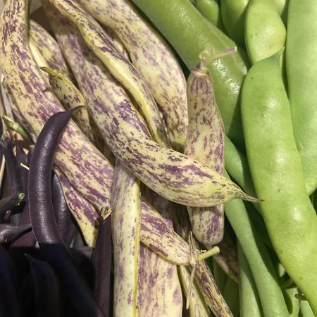 Kokkini Peach Budget Apartman Kokkínion