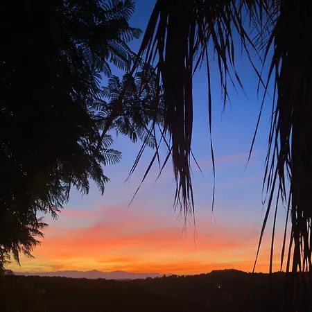 Kokkini Peach Budget Kokkínion