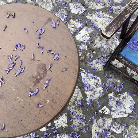 Kokkini Peach Budget Kokkínion