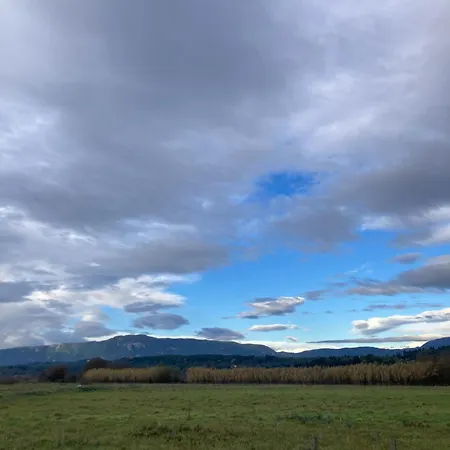 Kokkini Peach Budget