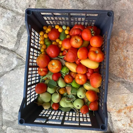 Apartman Kokkini Peach Budget Kokkínion