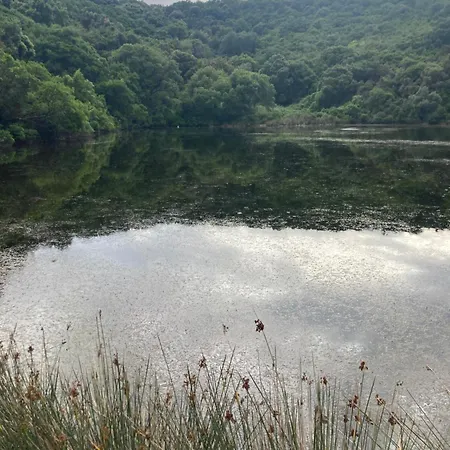 Kokkini Peach Budget *