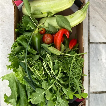 Kokkini Peach Budget Apartman Kokkínion