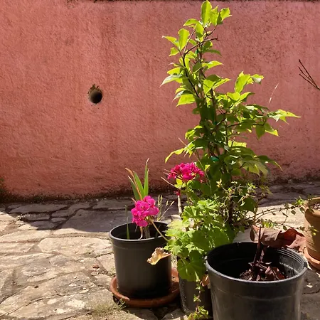Kokkini Peach Budget Apartamento Kokkínion