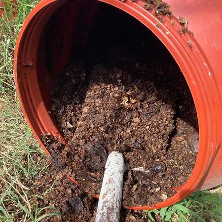 Kokkini Peach Budget Kokkínion