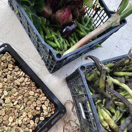 Apartman Kokkini Peach Budget Kokkínion